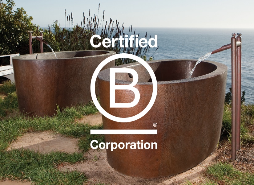 B Corp certification using business as a force for good